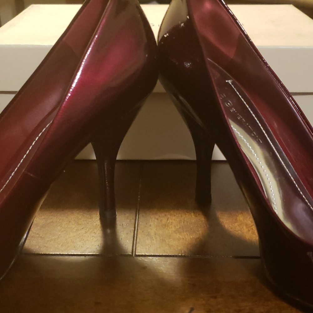 Bcbgeneration - image 5